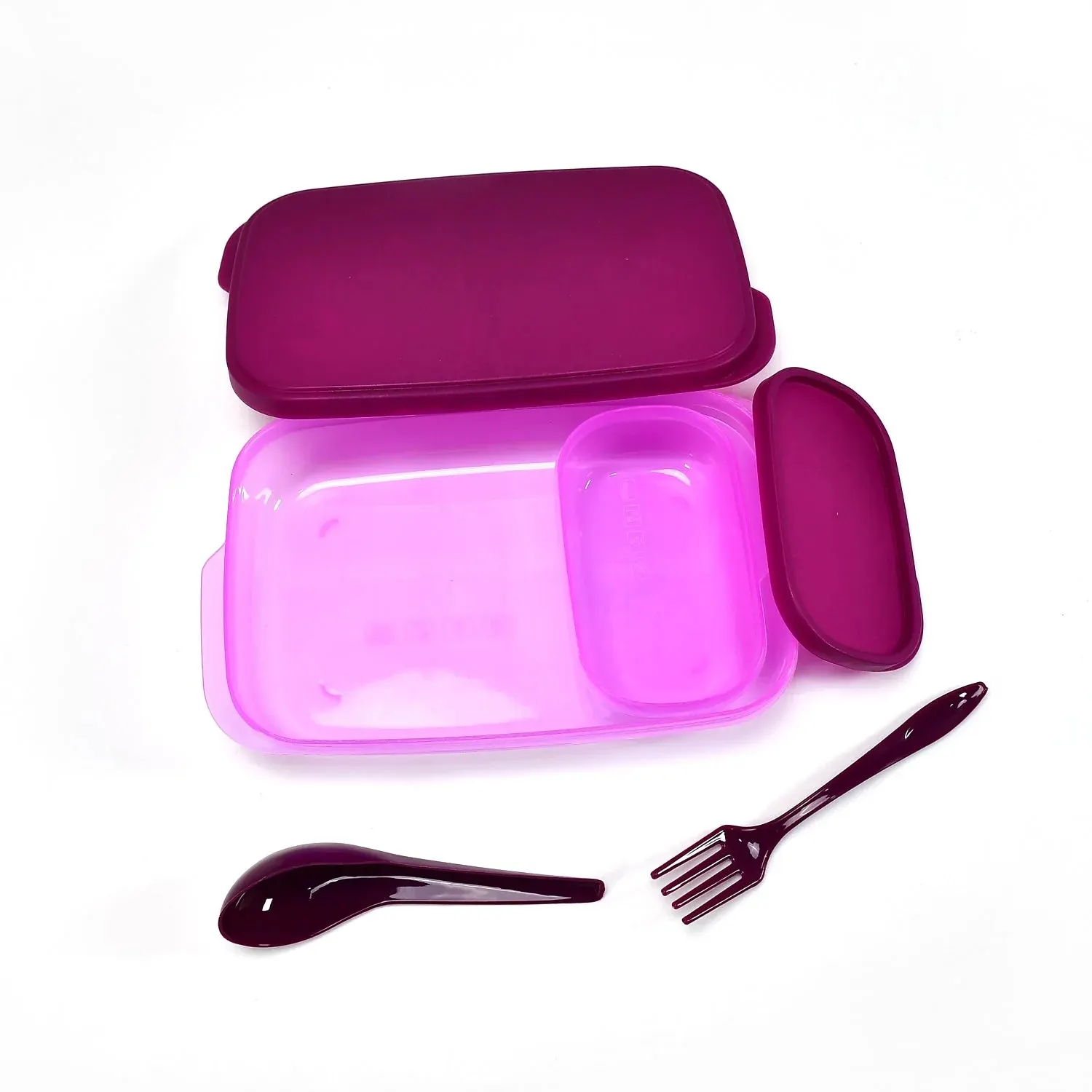 Unbreakable Leak-Proof BPA-Free Lunch Box with 2 Containers & Spoon